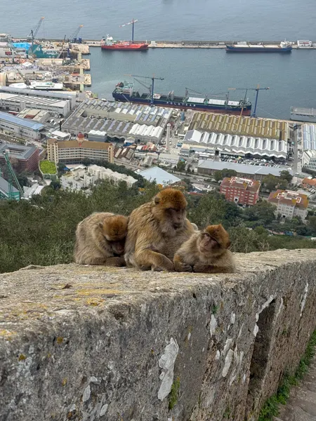 Cover photo for Gibraltar
