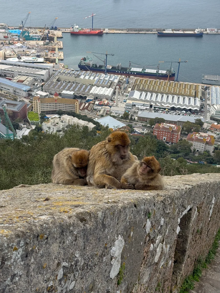 Gibraltar capture 1