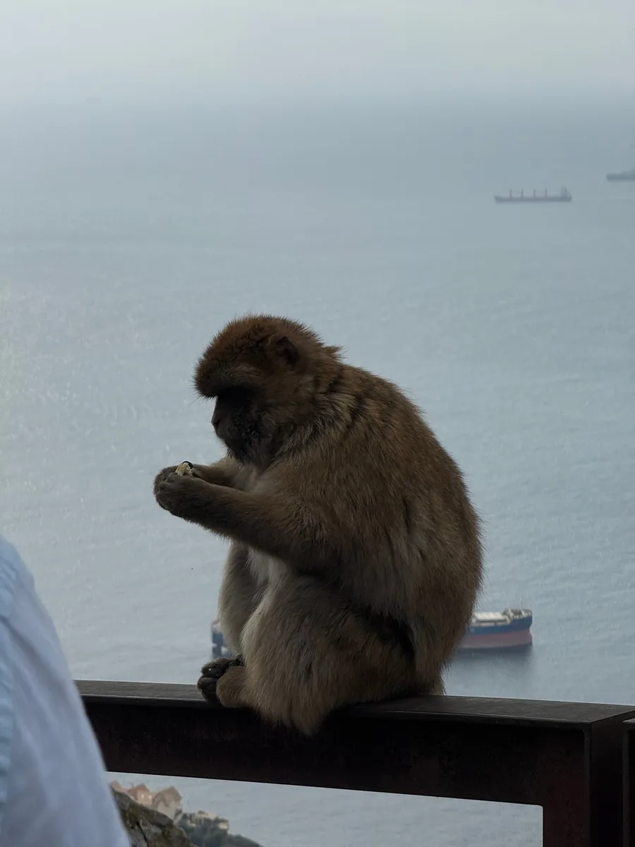Gibraltar capture 2