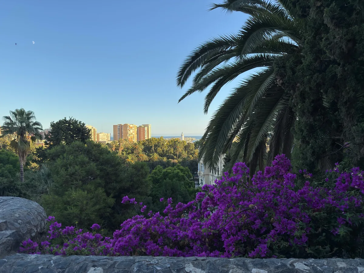 Malaga capture 2