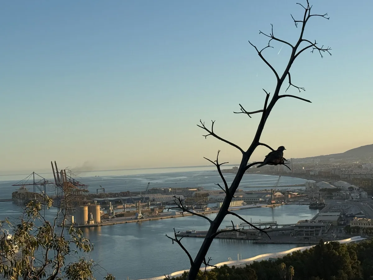Malaga capture 5