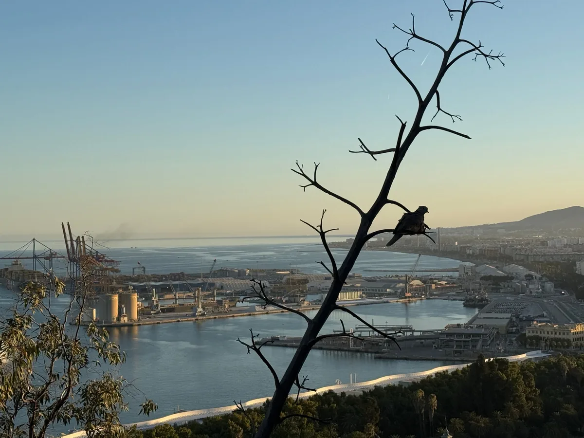 Malaga capture 6