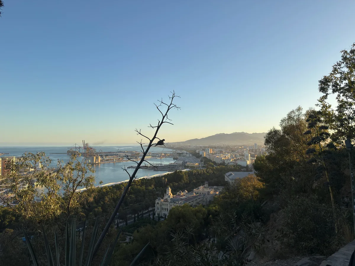 Malaga capture 8