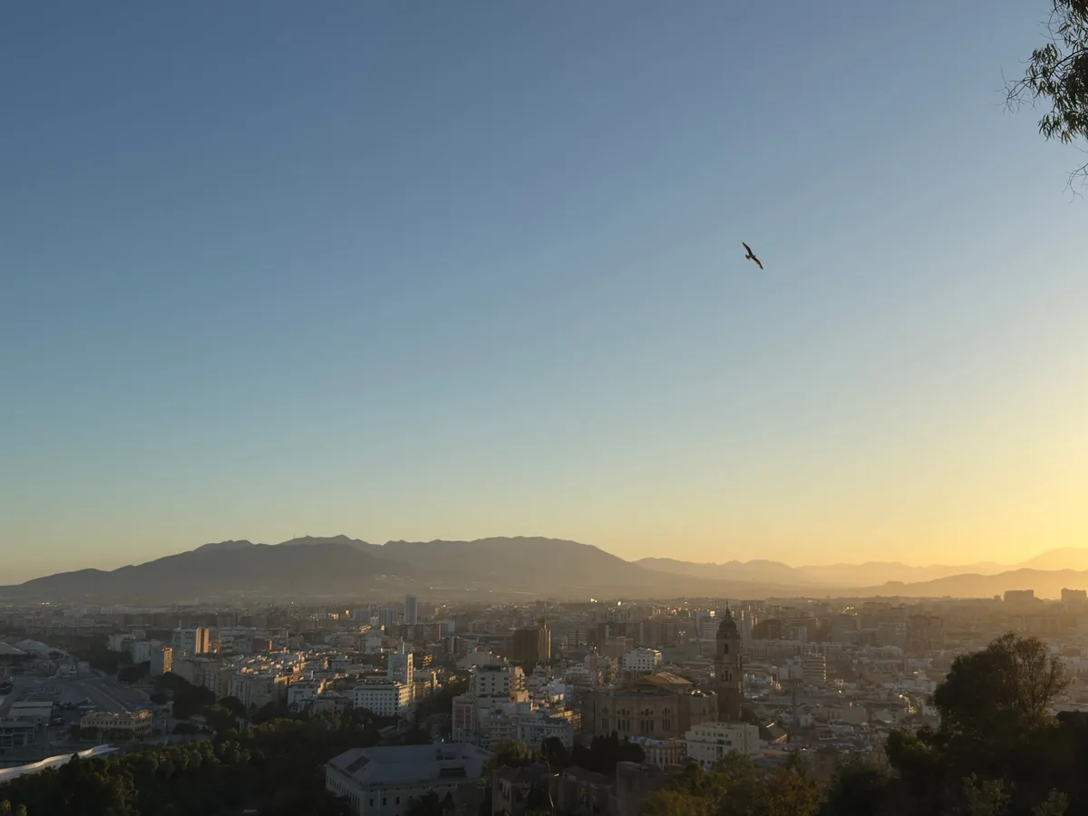 Malaga capture 10