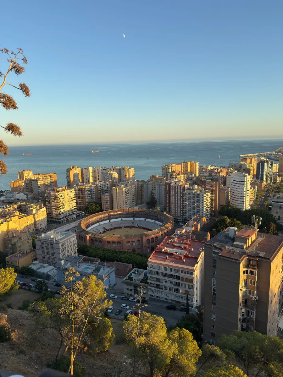 Malaga capture 11