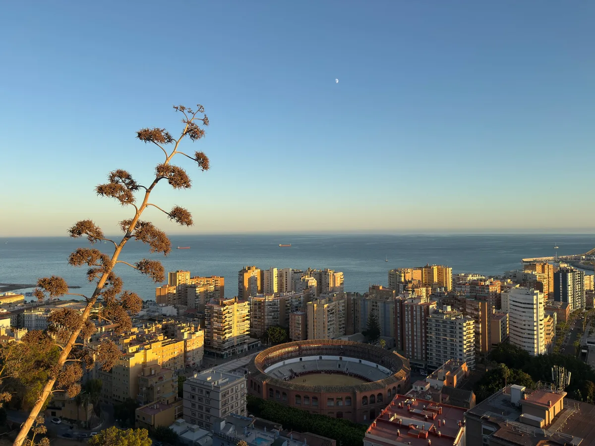 Malaga capture 13