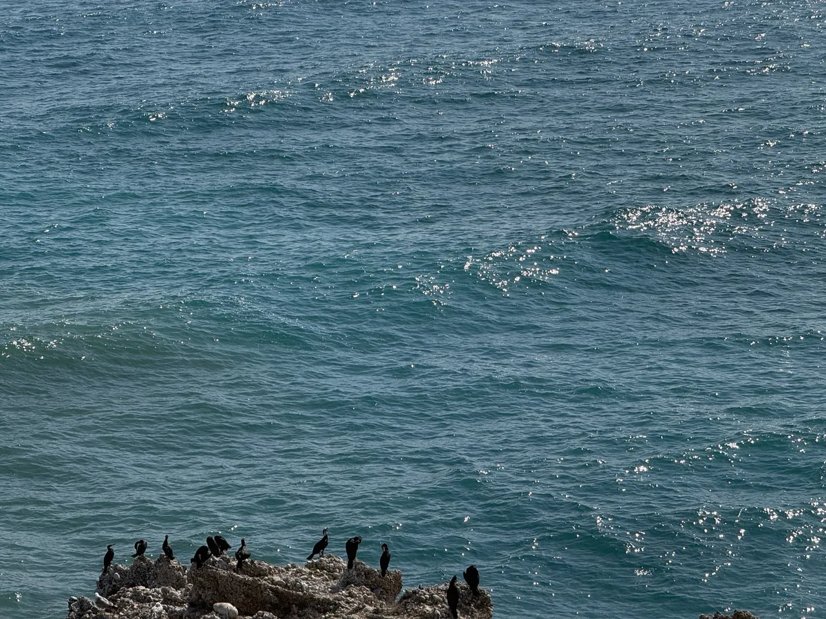 Nerja capture 2