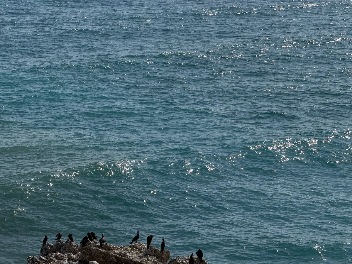 Nerja capture 3