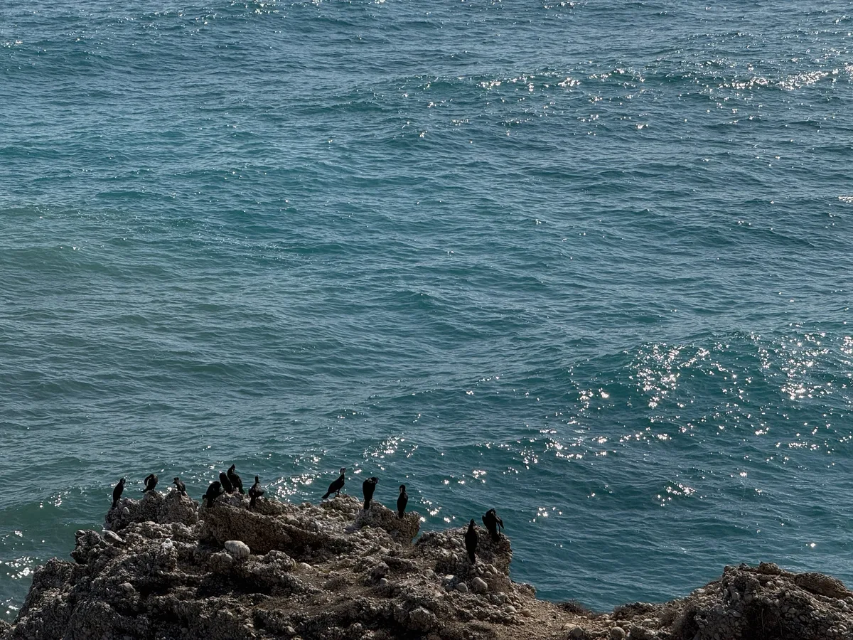 Nerja capture 4